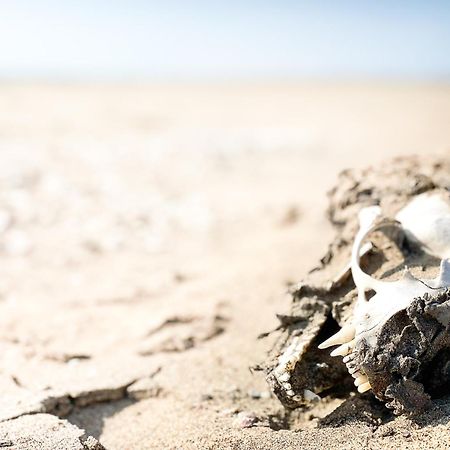 Skeleton Beach Backpackers Swakopmund Exterior foto